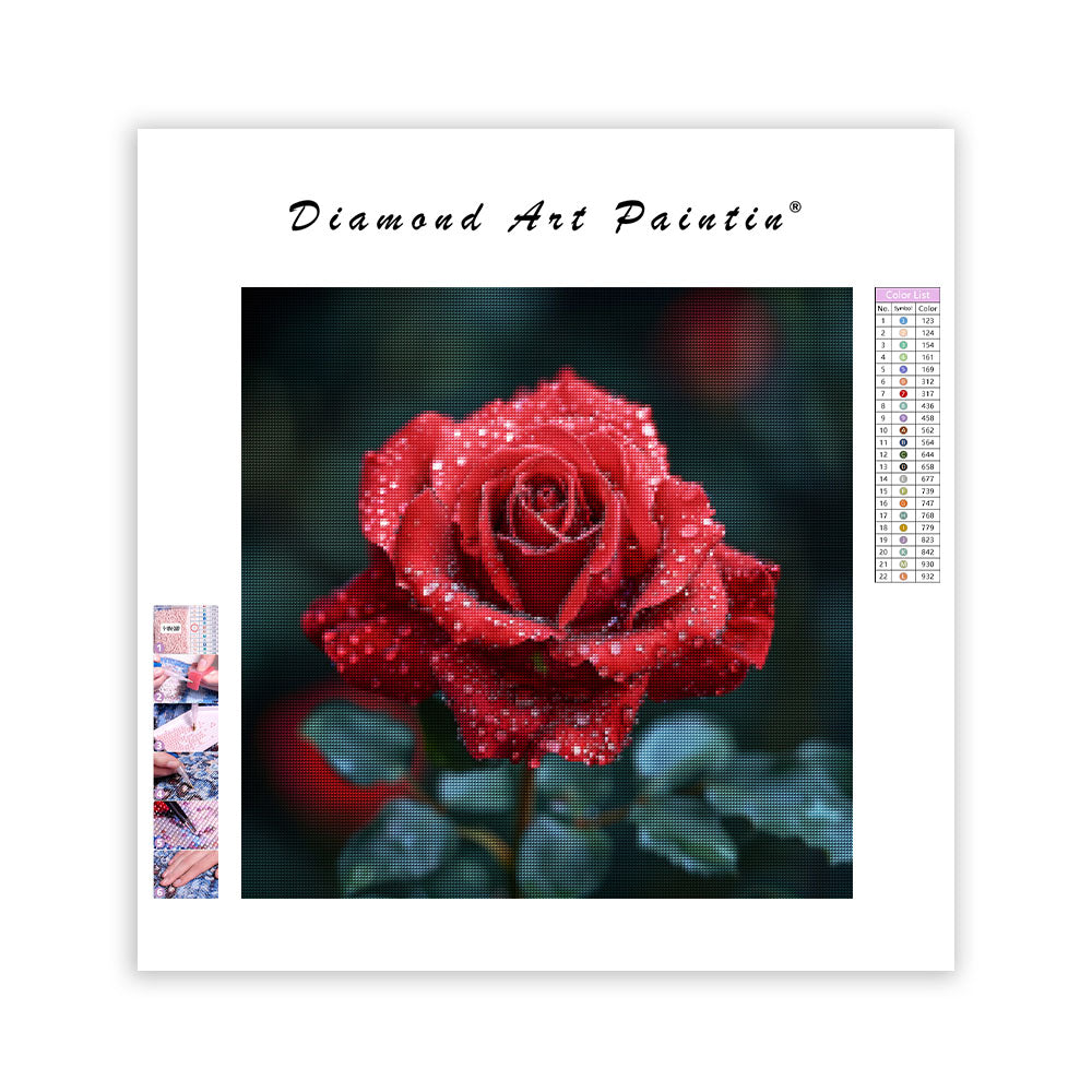 Velvet Rose - Diamond Painting