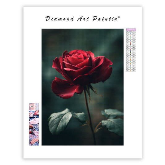 Rose - Diamond Painting