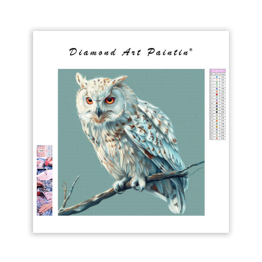 Peaceful Owl - Diamond Painting