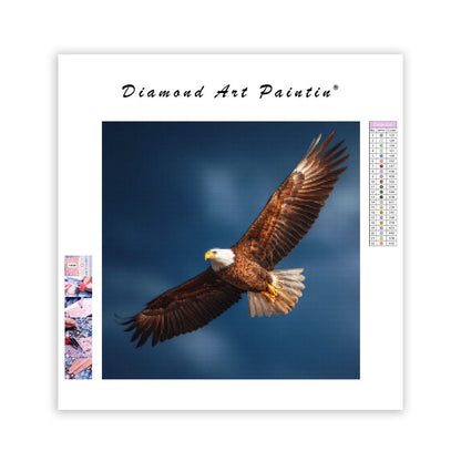 Soaring Eagle - Diamond Painting