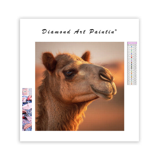 Camel in the Desert - Diamond Painting