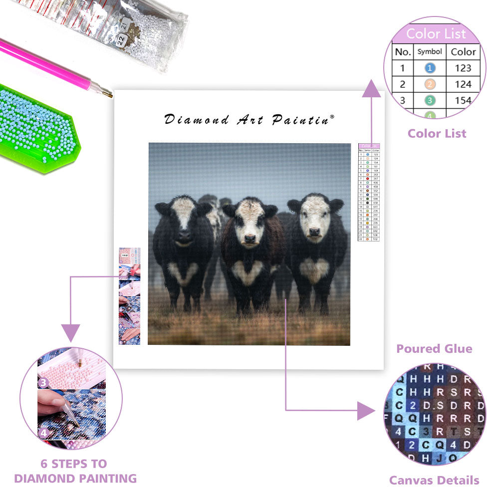 Belted Galloway Cows - Diamond Painting
