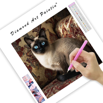 Siamese Cat Elegance - Diamond Painting