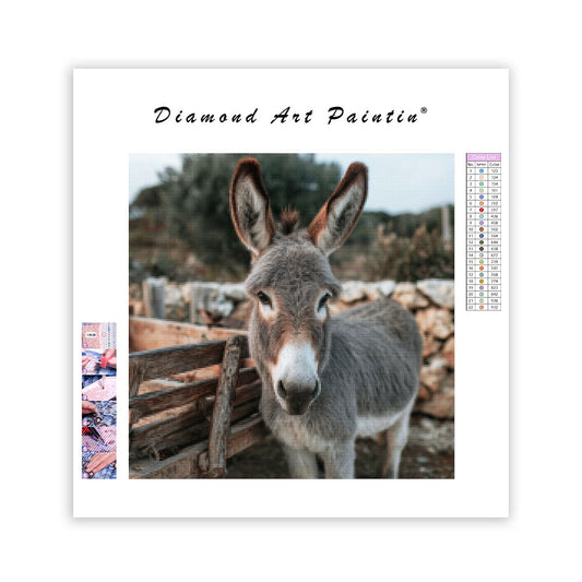 Donkey by Cart - Diamond Painting
