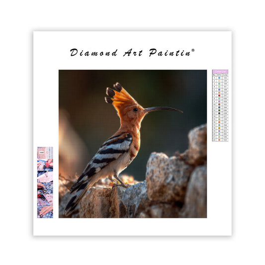Hoopoe with Raised Crest - Diamond Painting