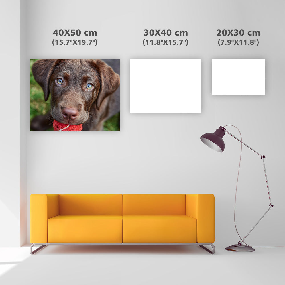 Playful Lab Puppy - Diamond Painting