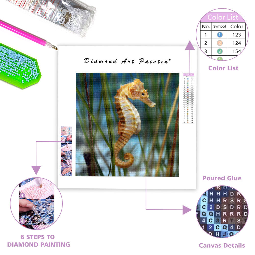 Seahorse on Seagrass - Diamond Painting