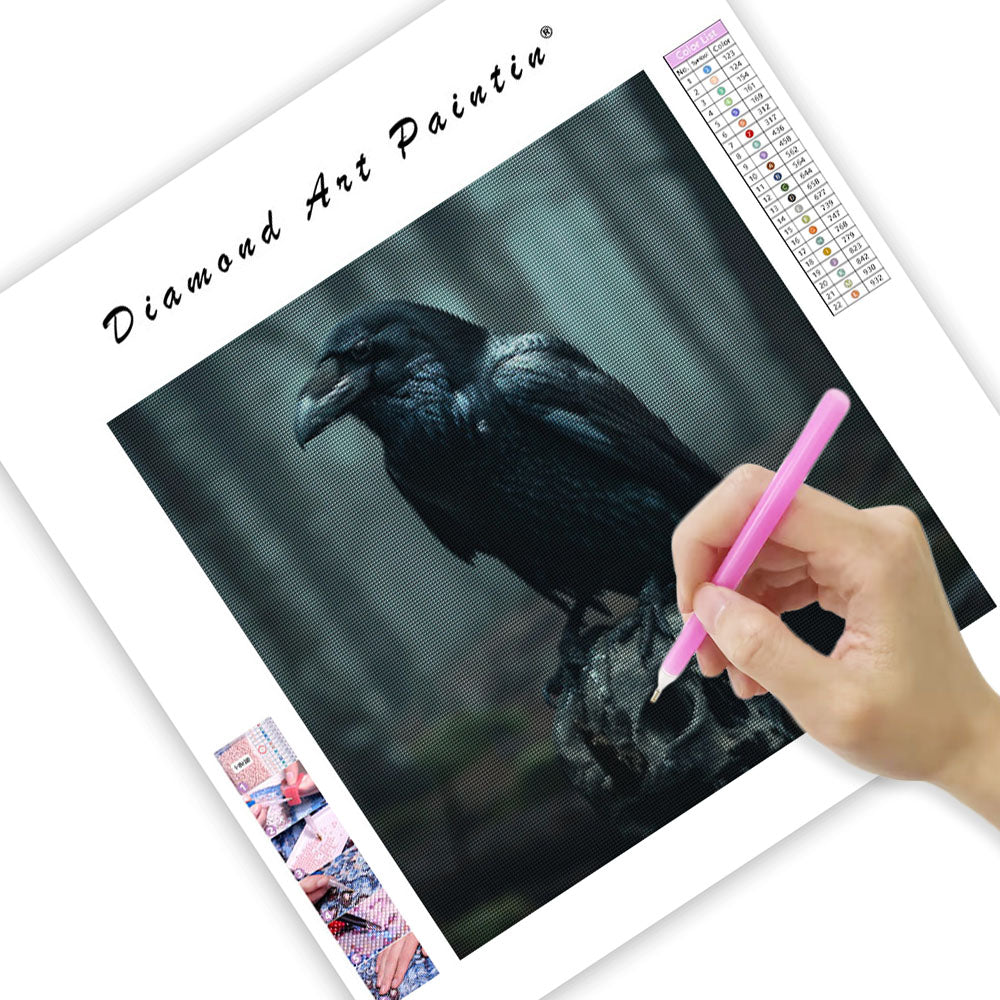 Raven and Skull - Diamond Painting