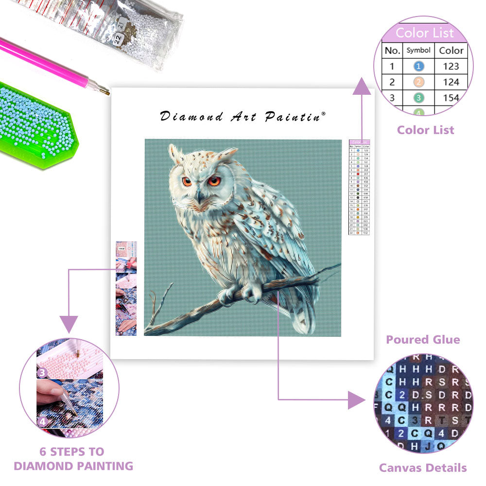 Peaceful Owl - Diamond Painting