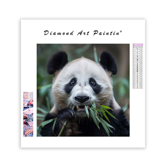 Panda Peace - Diamond Painting