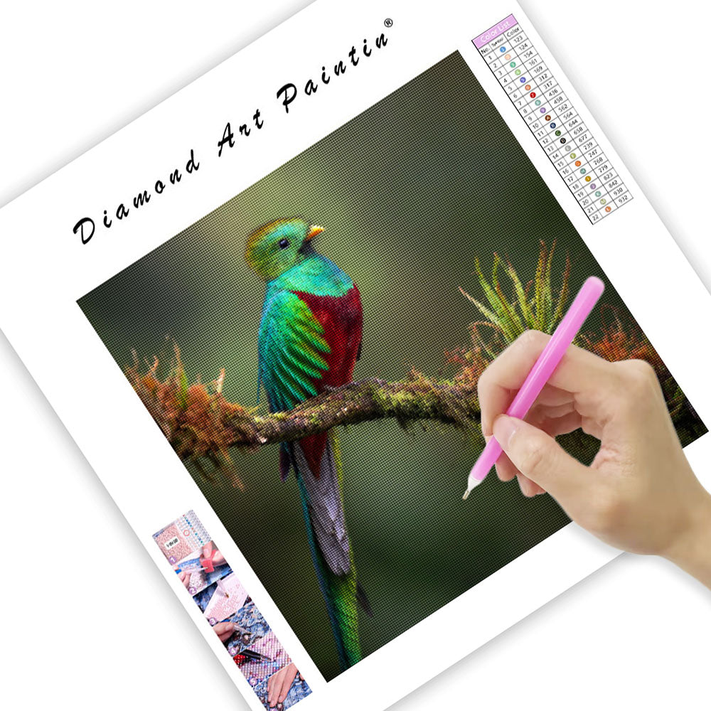 Resplendent Quetzal - Diamond Painting