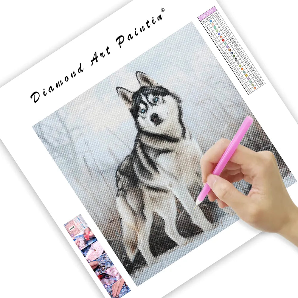 Husky in Snow - Diamond Painting