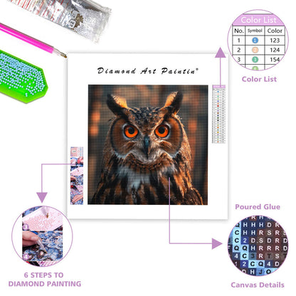 Owl Mystery - Diamond Painting