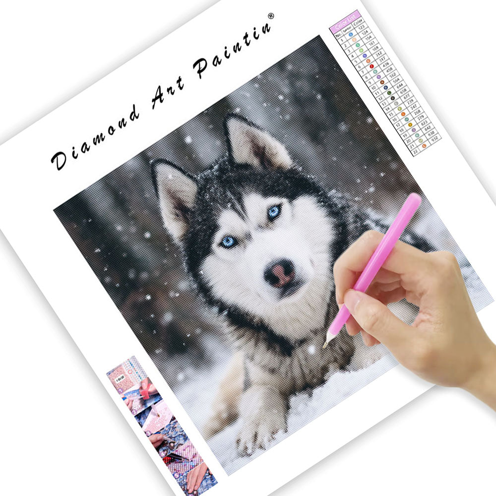Husky in Snow - Diamond Painting