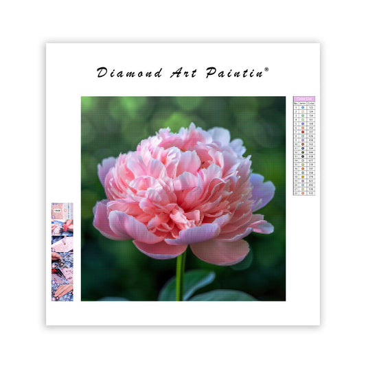 Peony Prosperity - Diamond Painting
