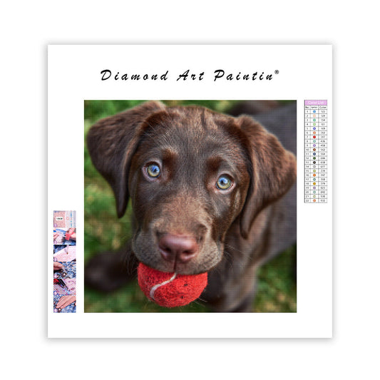 Playful Lab Puppy - Diamond Painting