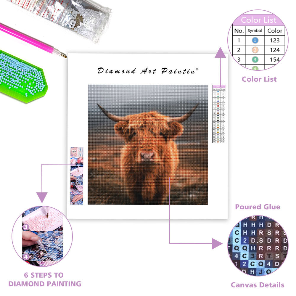 Fluffy Highland Cow - Diamond Painting