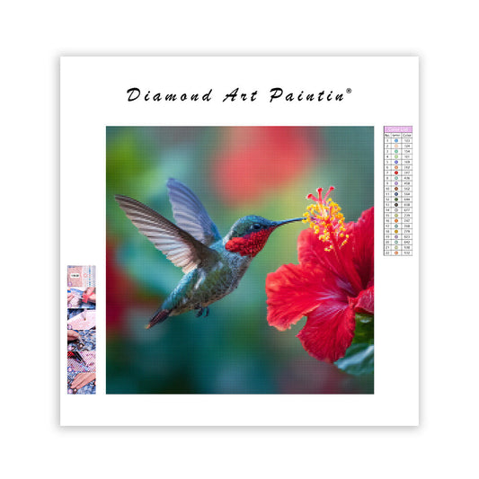 Hummingbird & Hibiscus Moment - Diamond Painting