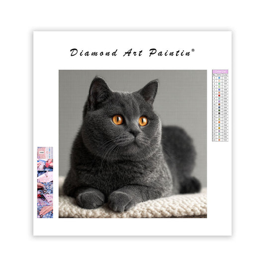 Silver Gray Gaze - Diamond Painting