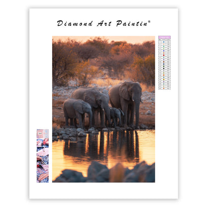 Elephant Family at the Waterhole - Diamond Painting