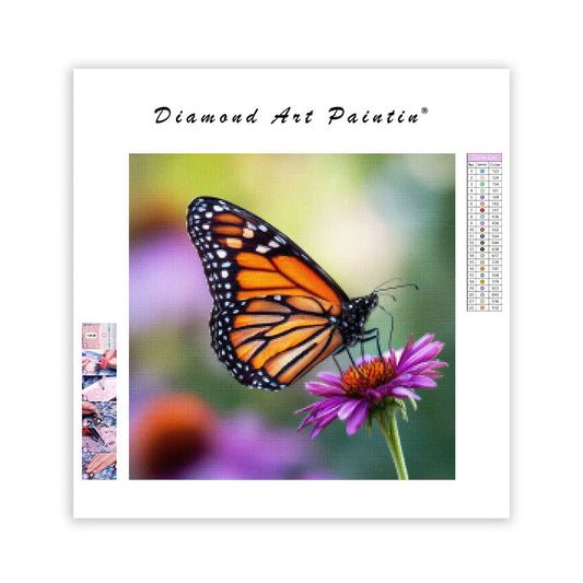 Monarch on Coneflower - Diamond Painting