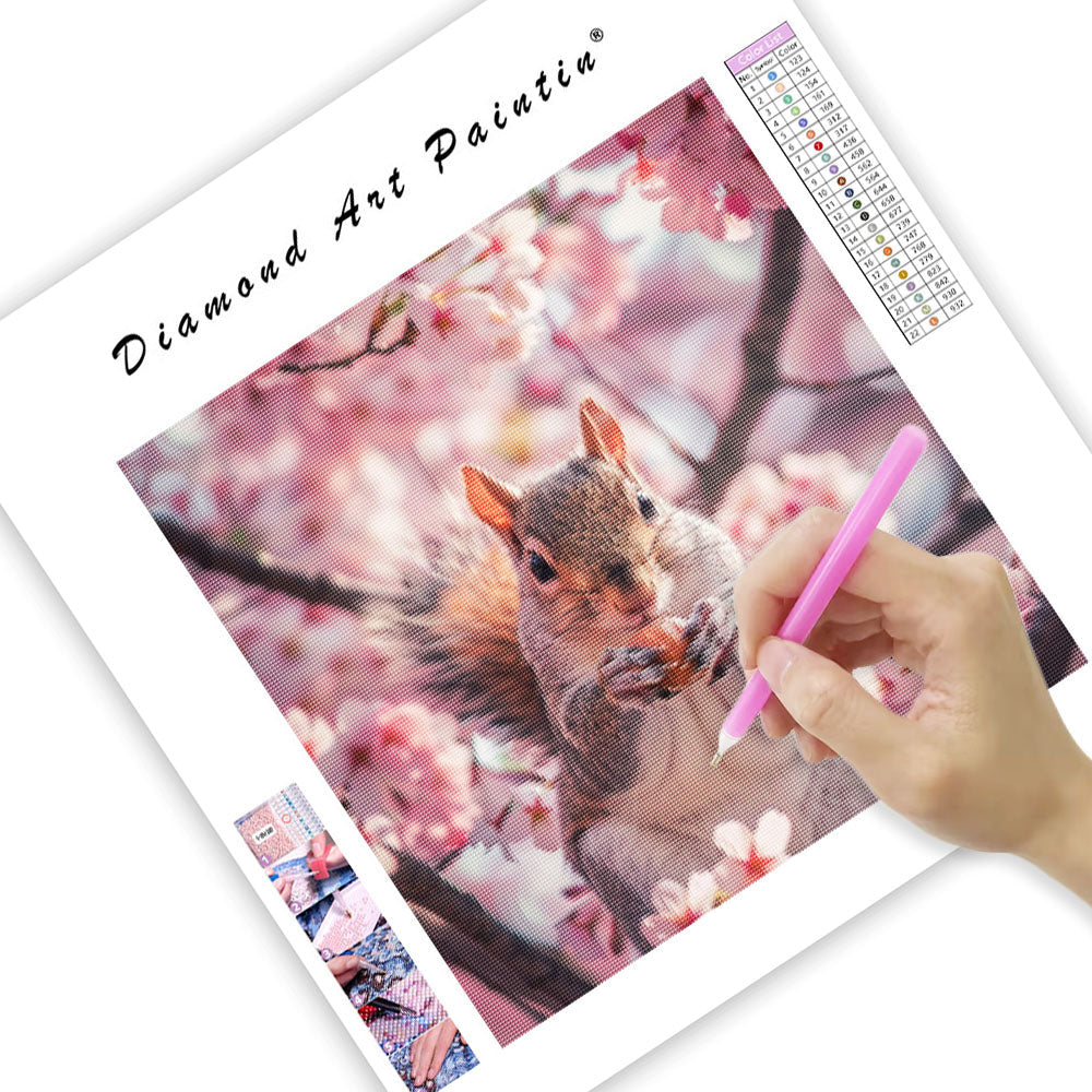 Sakura Squirrel - Diamond Painting