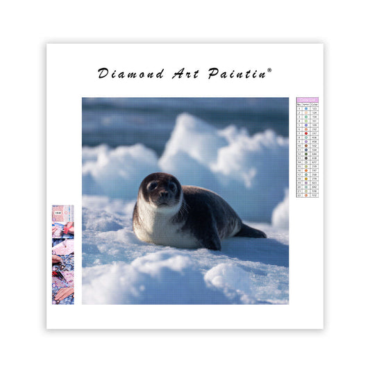 Ribbon Seal on Ice - Diamond Painting