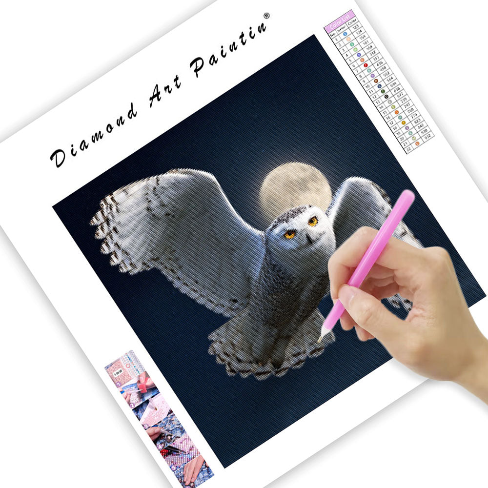 Snowy Owl in Flight - Diamond Painting