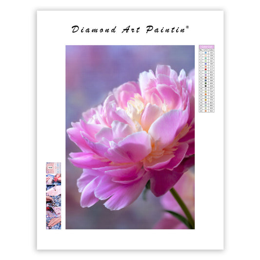 Pink Peony Bloom - Diamond Painting