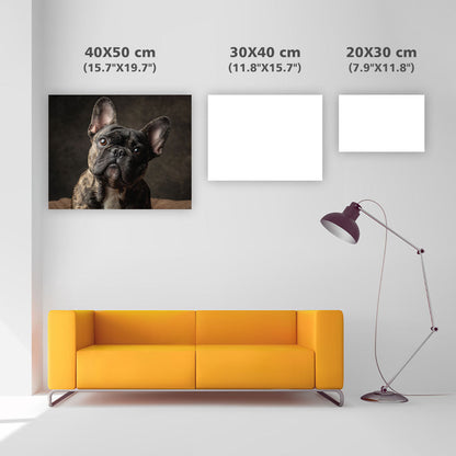 French Bulldog Adoring Gaze - Diamond Painting
