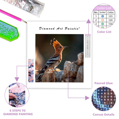 Hoopoe with Raised Crest - Diamond Painting