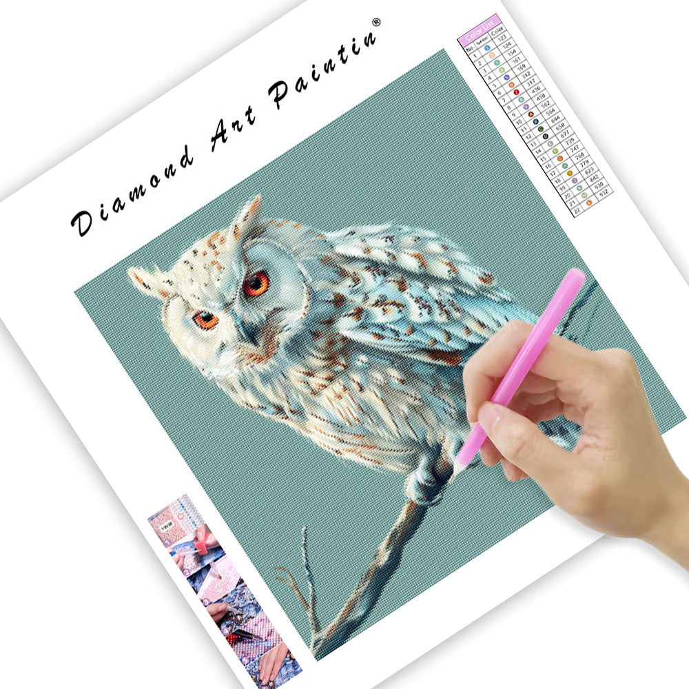 Peaceful Owl - Diamond Painting