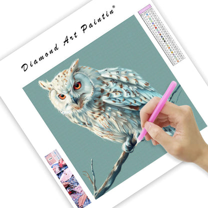 Peaceful Owl - Diamond Painting