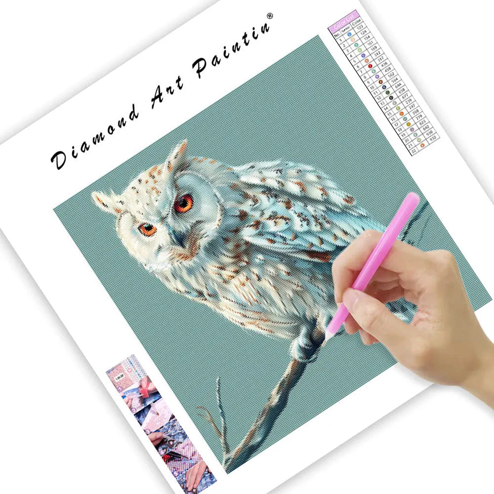 Peaceful Owl - Diamond Painting