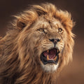 Lion on the Savannah - Diamond Painting
