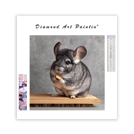 Chinchilla on Perch - Diamond Painting
