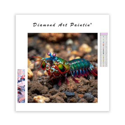 Peacock Mantis Shrimp - Diamond Painting
