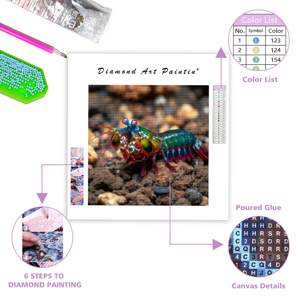 Peacock Mantis Shrimp - Diamond Painting