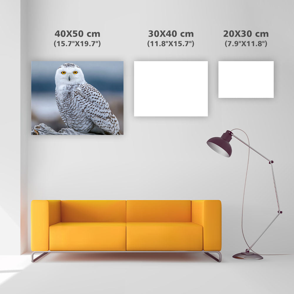 Snowy Owl on Log - Diamond Painting