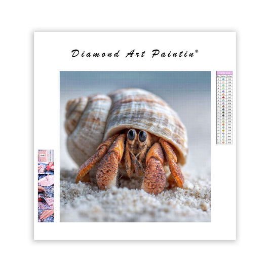 Hermit Crab in Shell - Diamond Painting