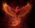 Phoenix Rising from the Ashes - Diamond Painting