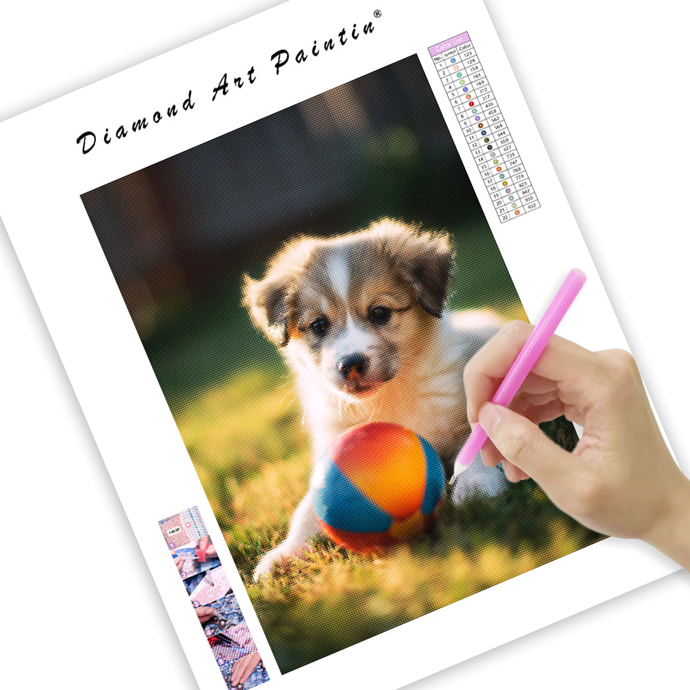 Puppy Playing with Ball - Diamond Painting