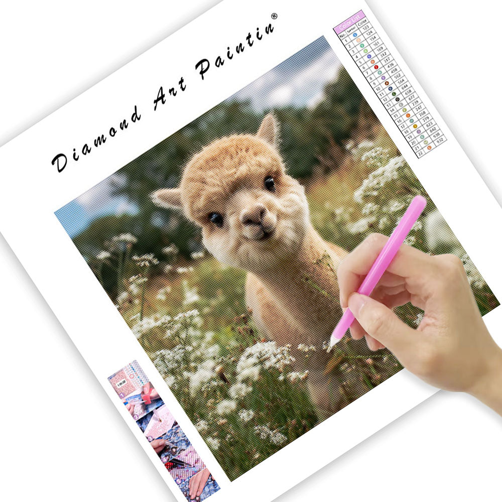 Baby Alpaca in Meadow - Diamond Painting