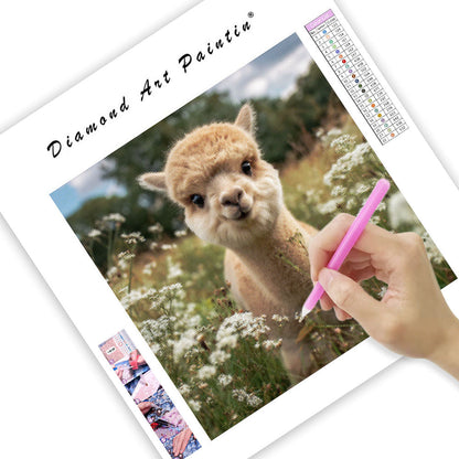 Baby Alpaca in Meadow - Diamond Painting