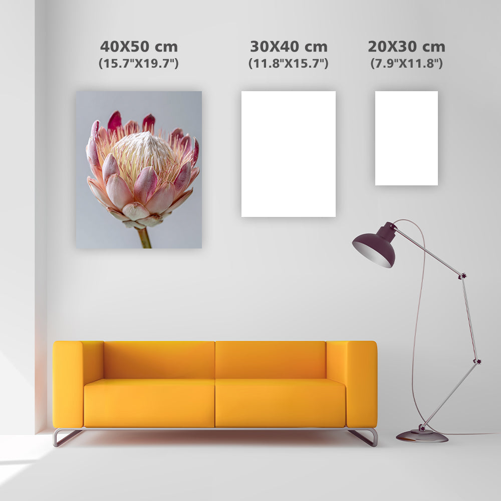 Protea Flower Head - Diamond Painting