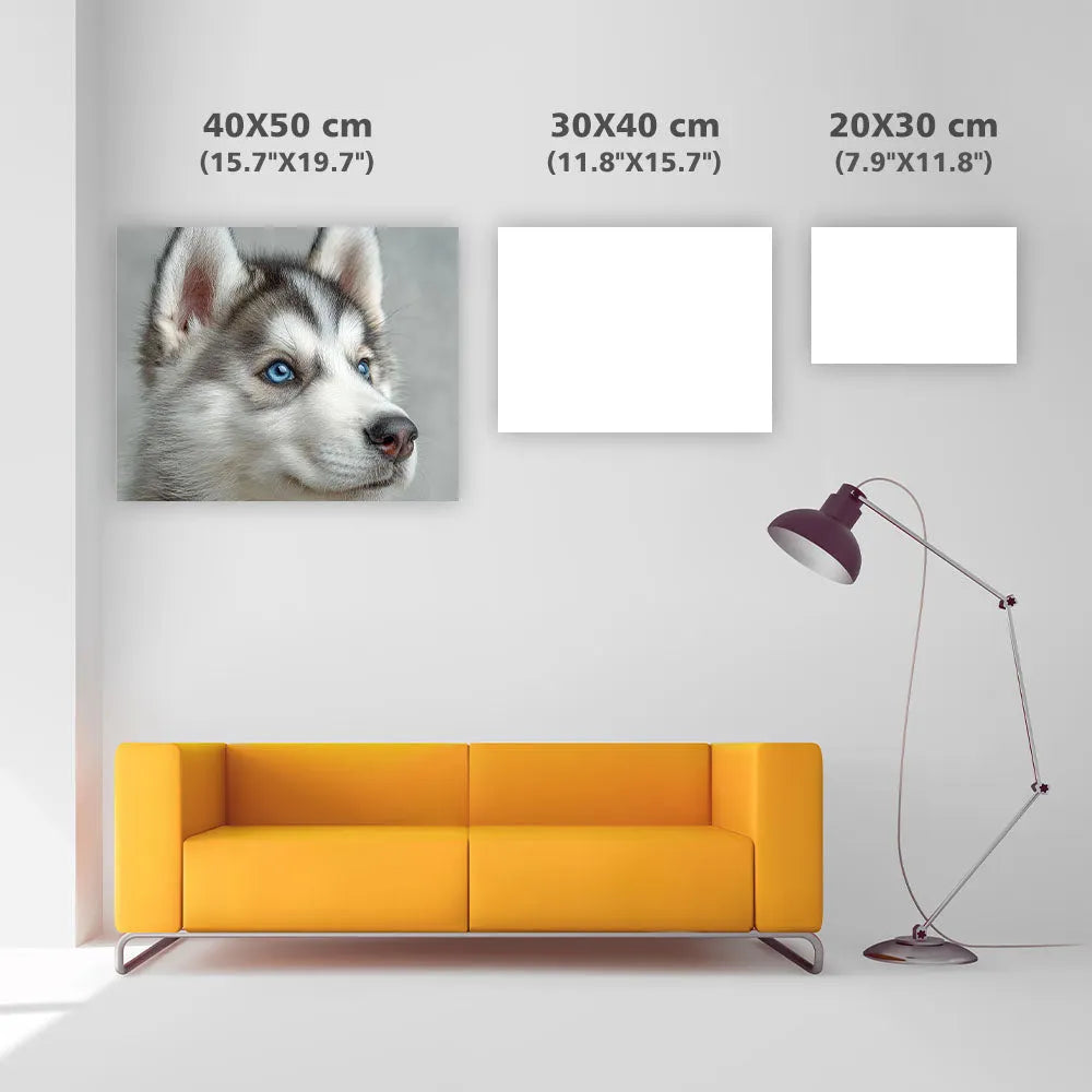 Inquisitive Fluffy Pup - Diamond Painting
