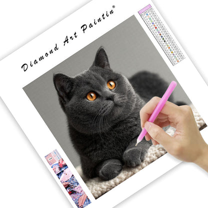 Silver Gray Gaze - Diamond Painting
