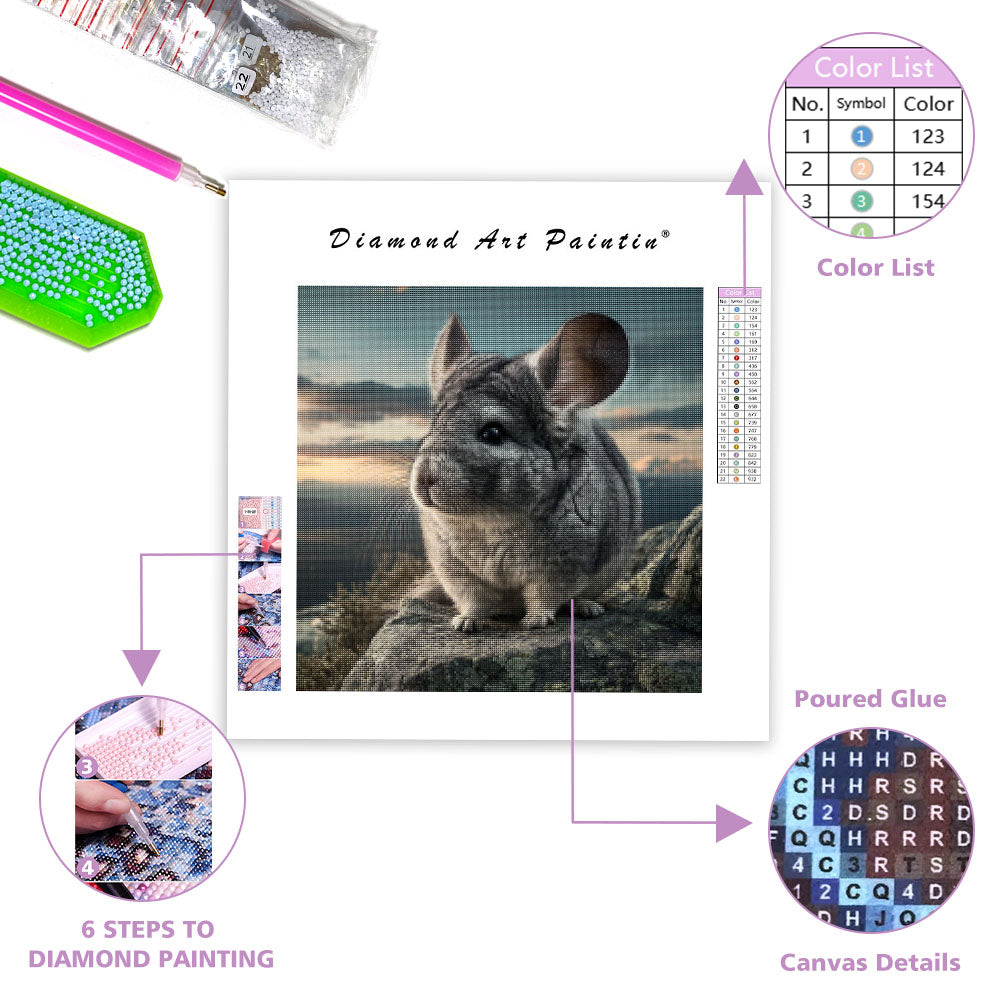 Chinchilla on Rock - Diamond Painting