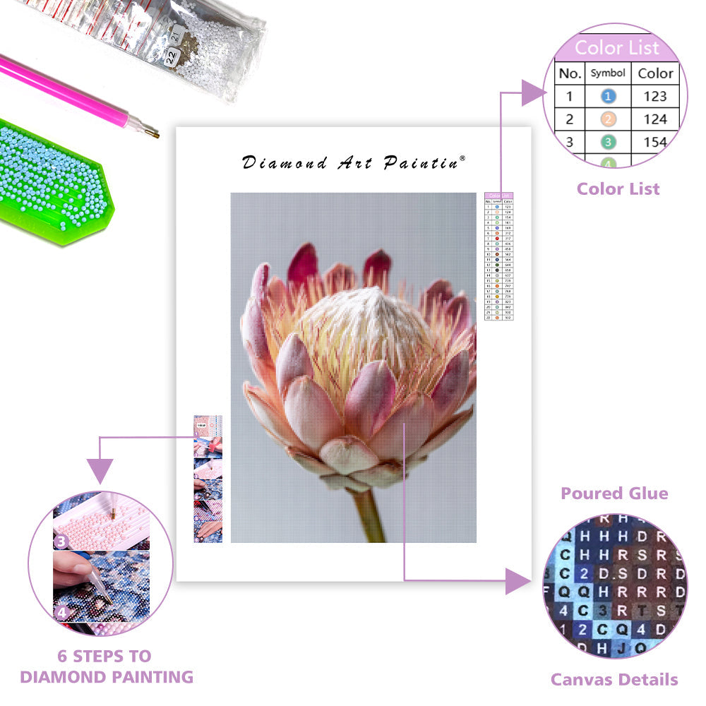 Protea Flower Head - Diamond Painting