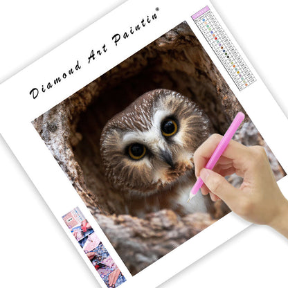 Saw-whet Owl Peeking - Diamond Painting